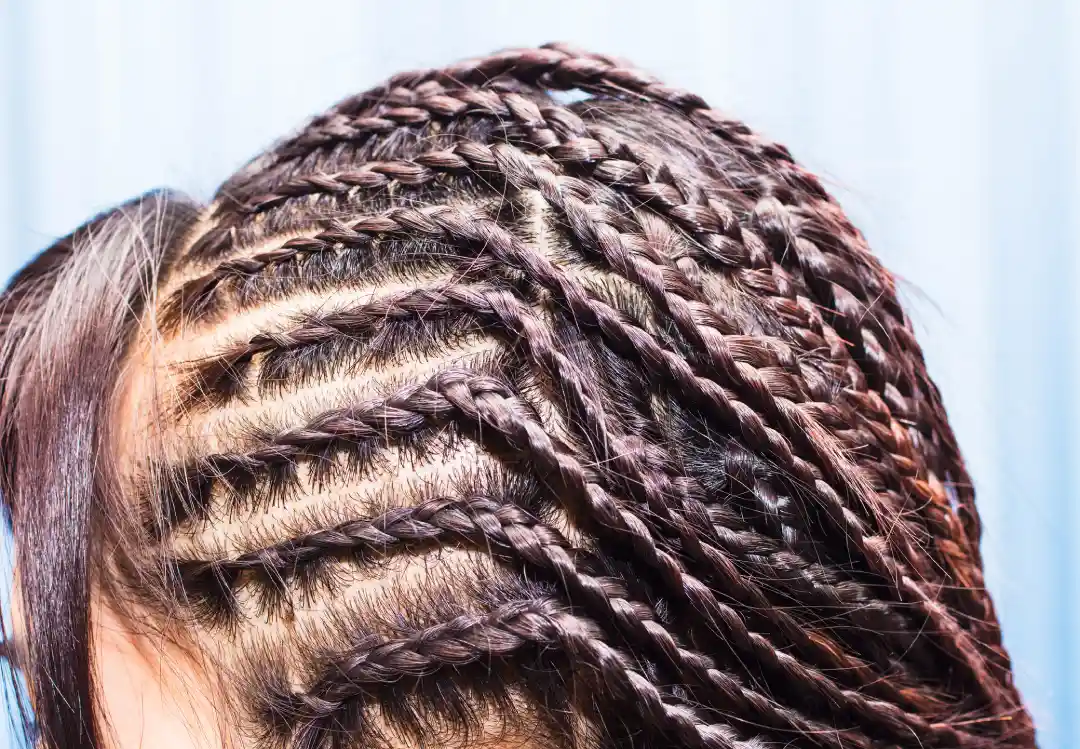 Professional Box Braids in New York, NY